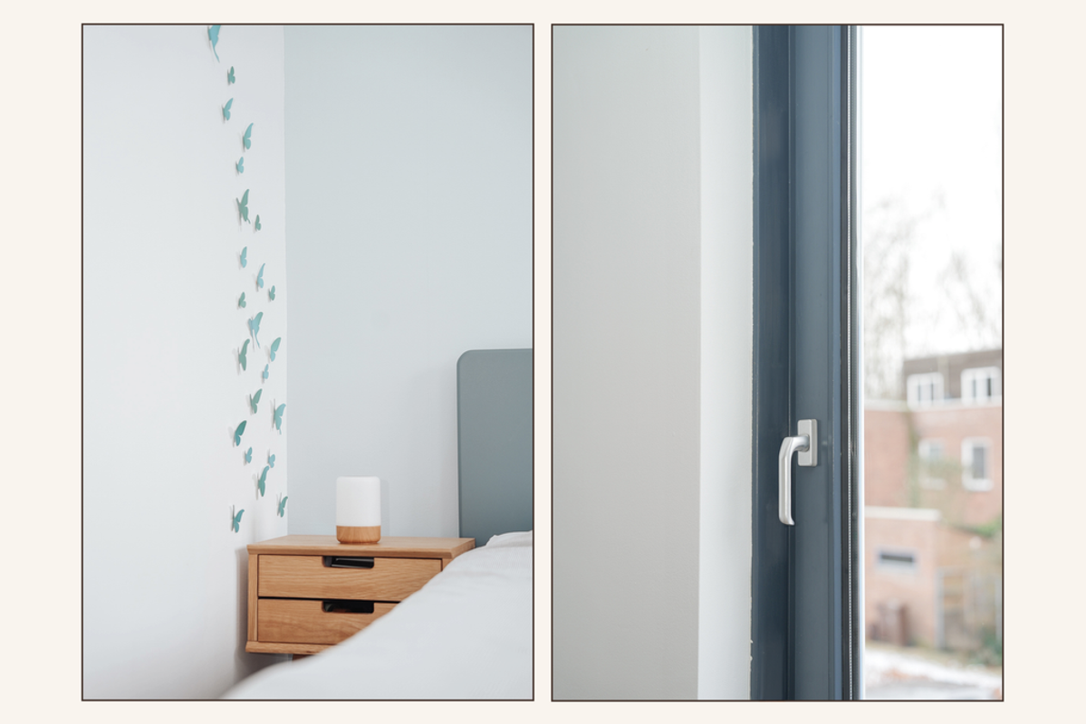 Zwarte Woud 117 Photo Blur 25