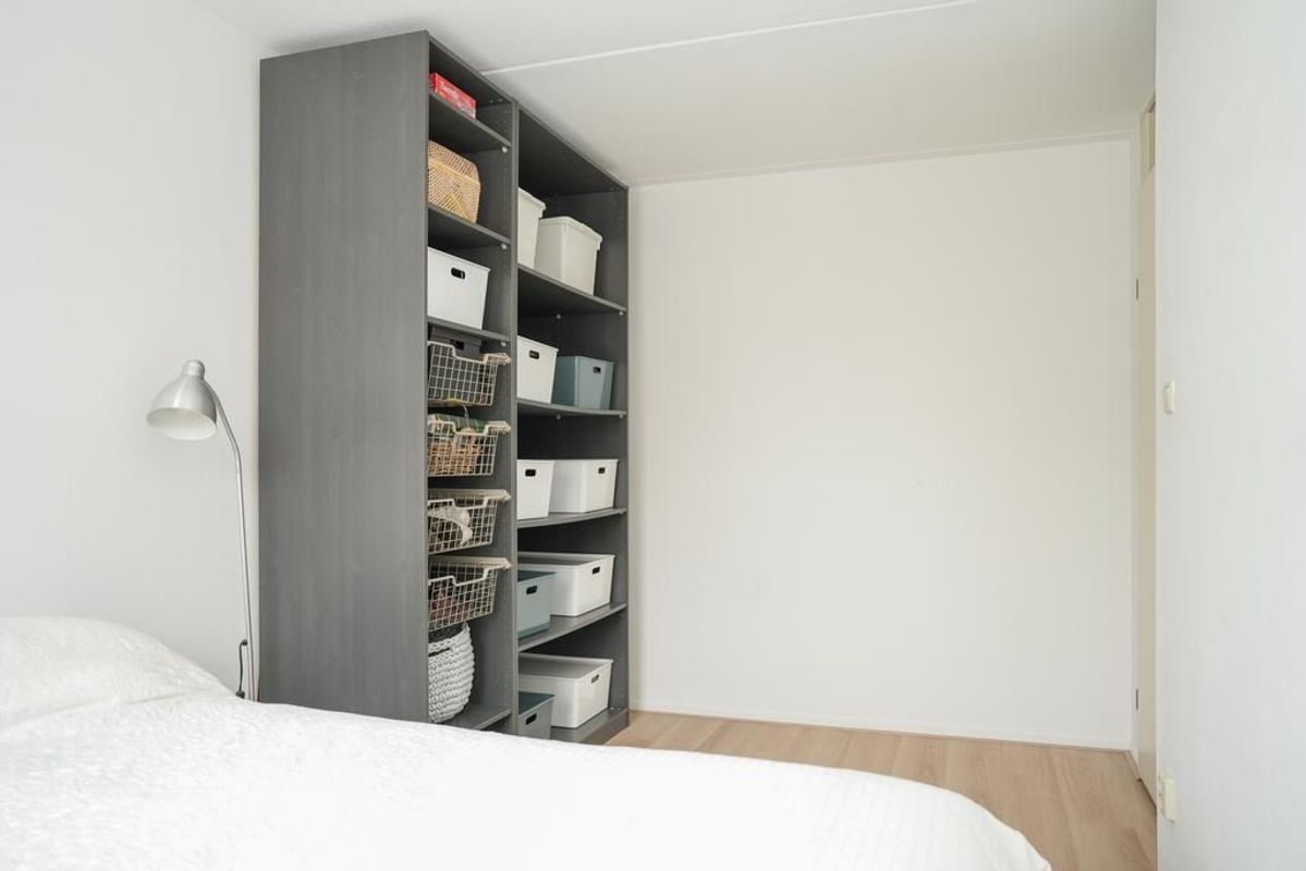 Zwarte Woud 117 Photo Blur 27