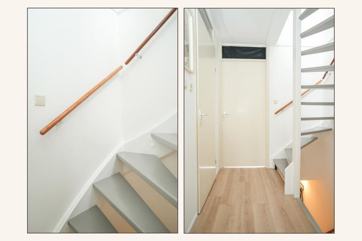 Zwarte Woud 117 Photo Blur 31