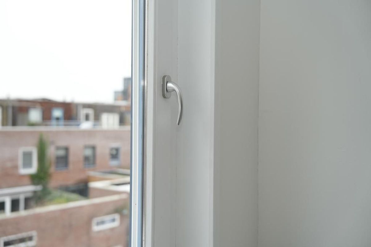 Zwarte Woud 117 Photo Blur 37