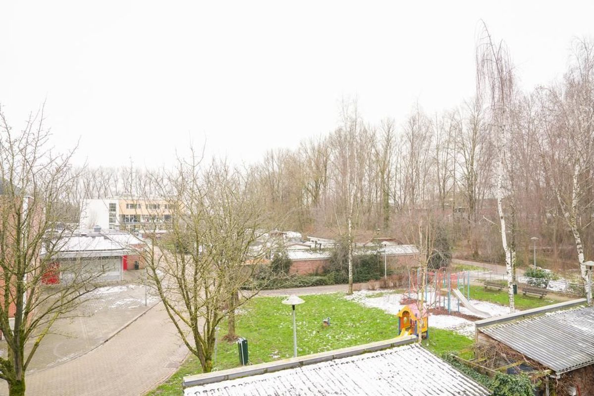 Zwarte Woud 117 Photo Blur 41