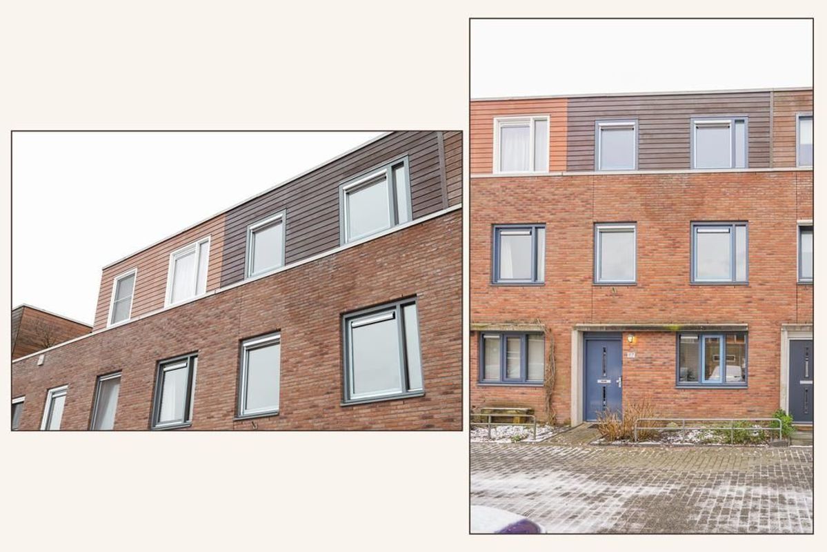 Zwarte Woud 117 Photo Blur 42