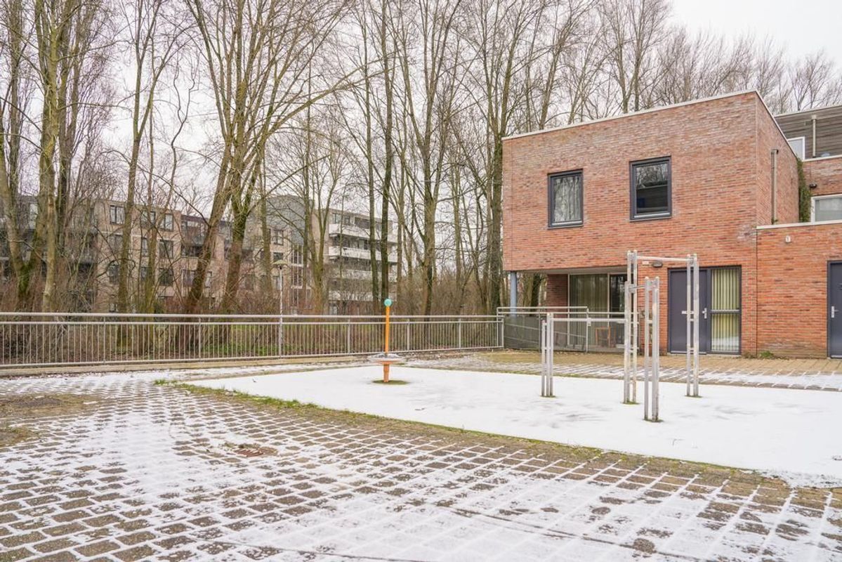 Zwarte Woud 117 Photo Blur 45