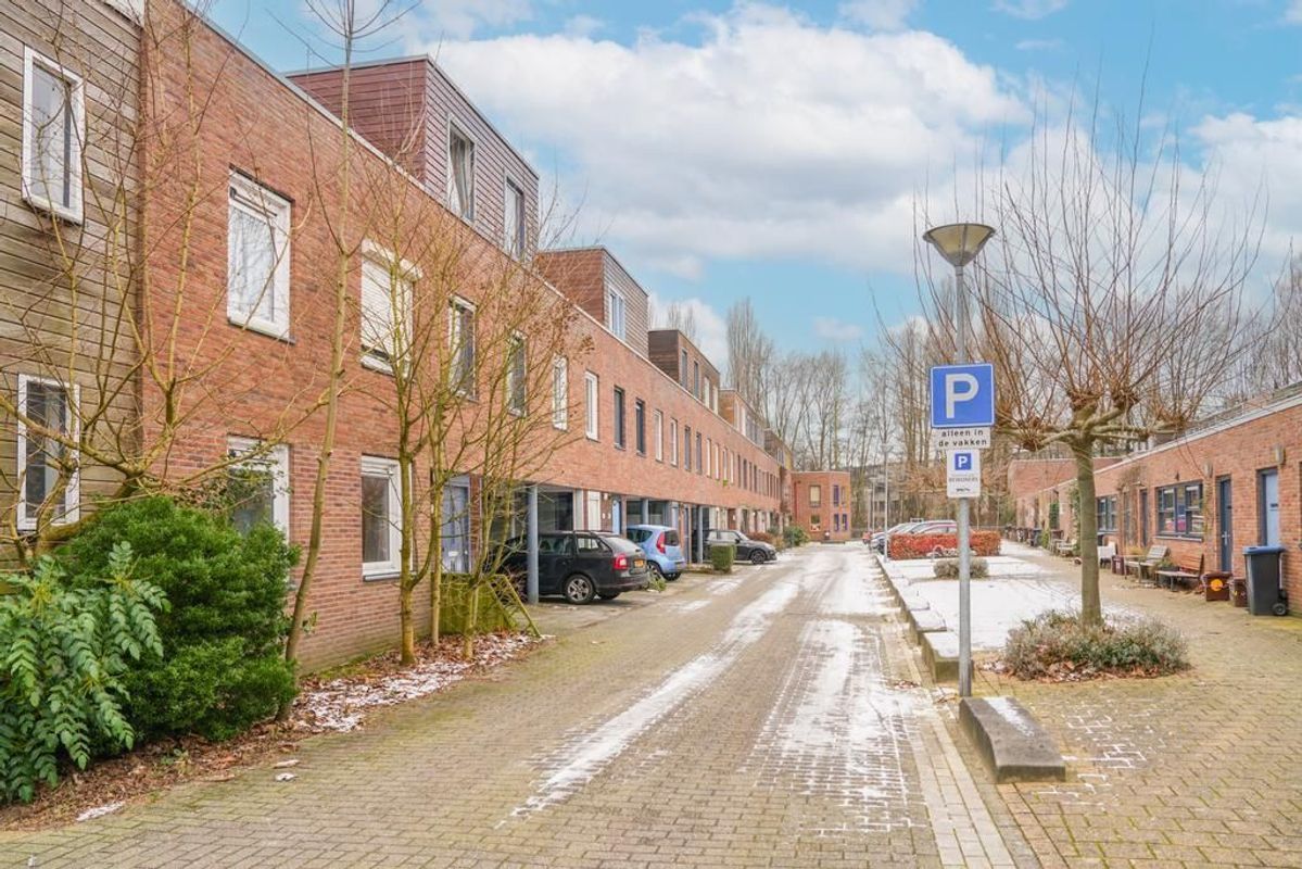 Zwarte Woud 117 Photo Blur 46