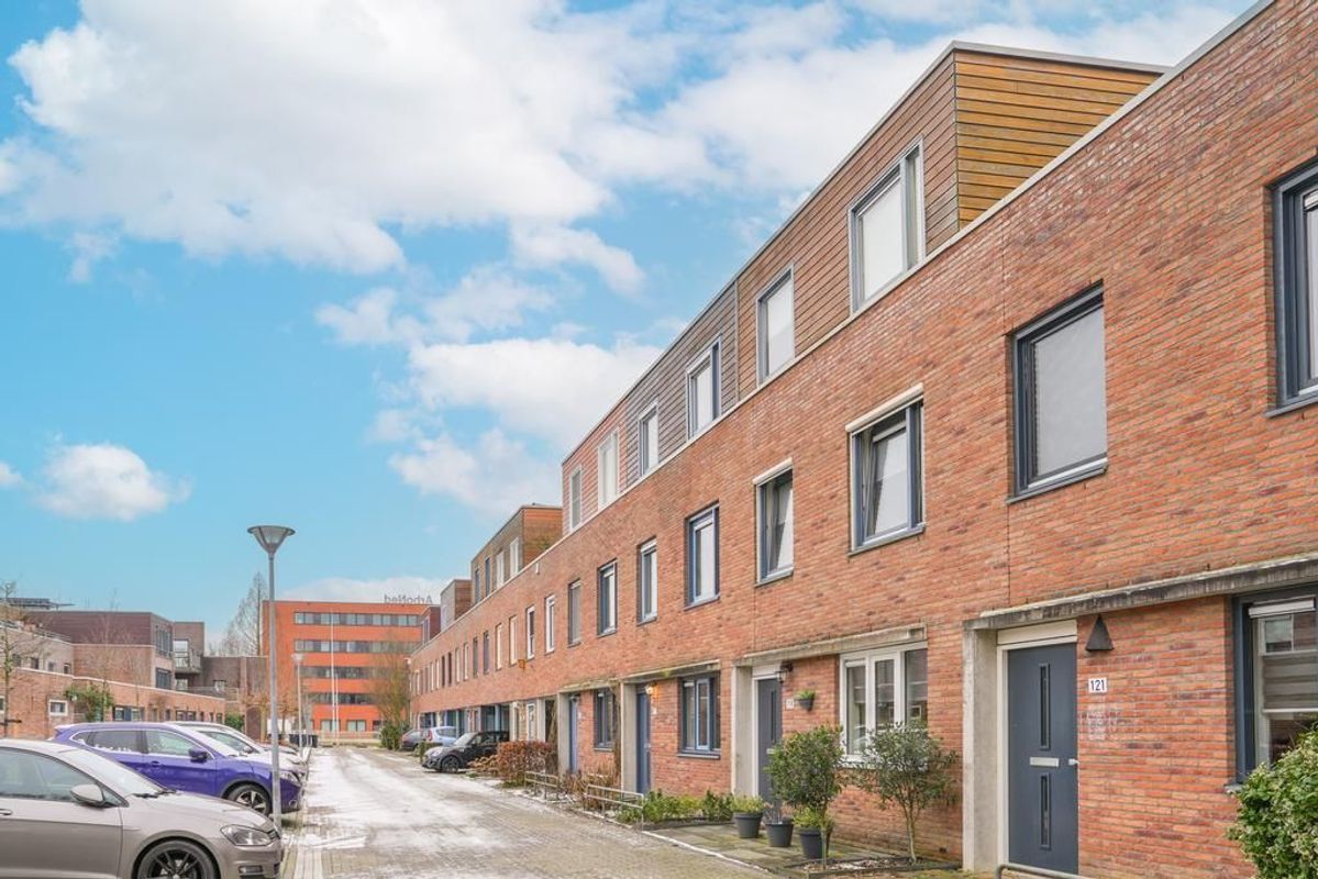 Zwarte Woud 117 Photo Blur 44