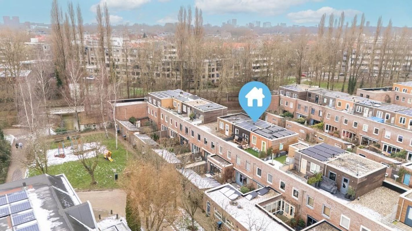 Zwarte Woud 117 Photo Blur 50