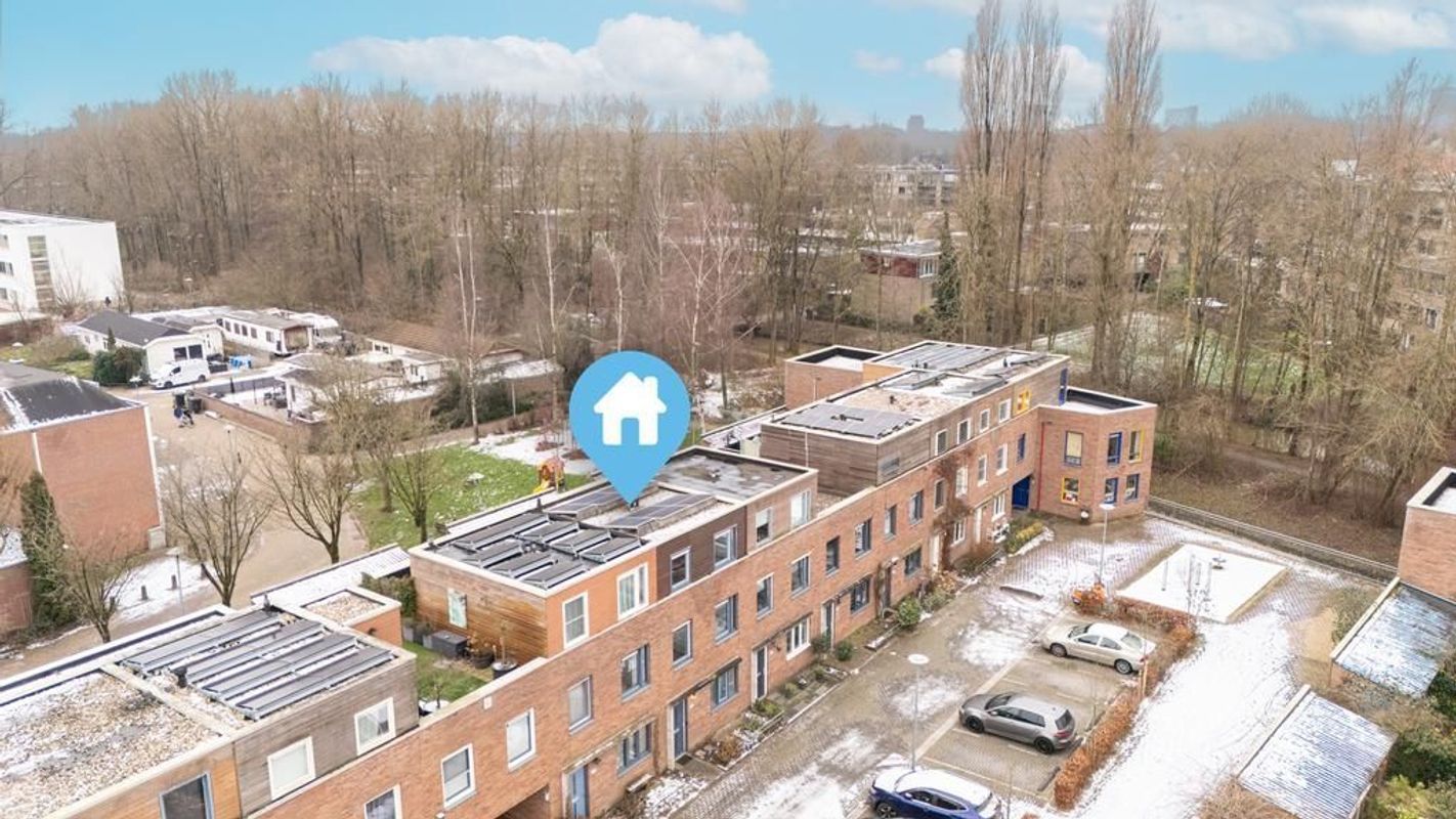 Zwarte Woud 117 Photo Blur 48