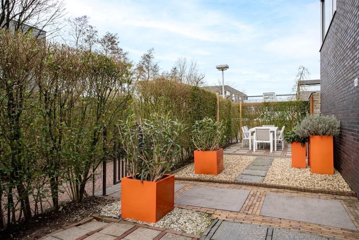 Klifrakplantsoen 148 Photo Blur 31