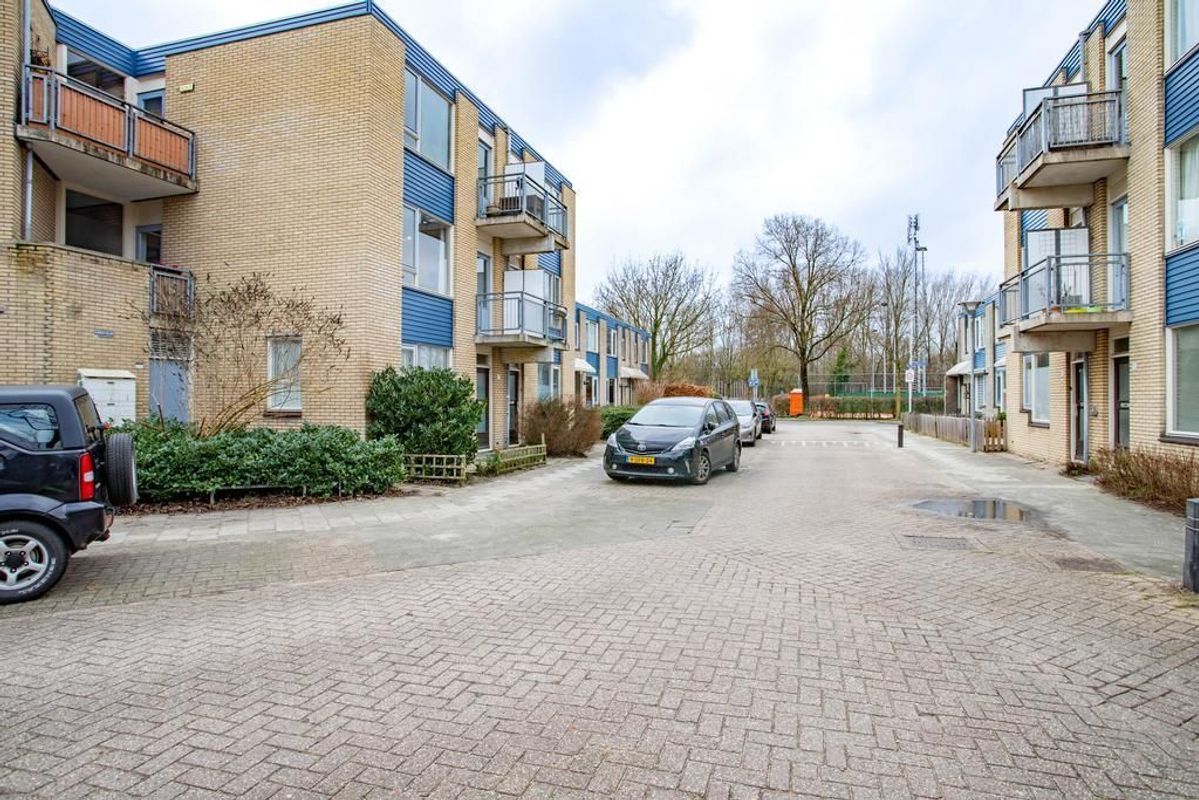 Jungfrau 51 Photo Blur 21