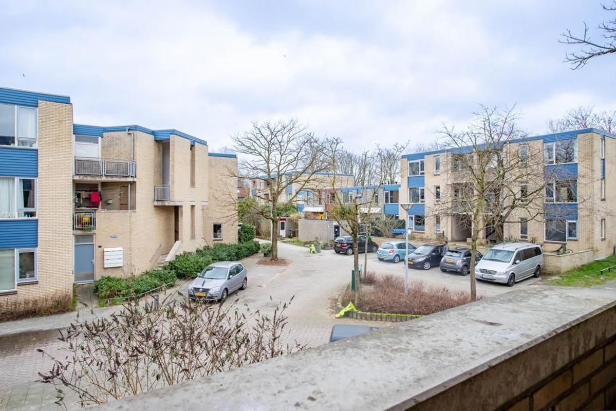 Jungfrau 51 Photo Blur 20