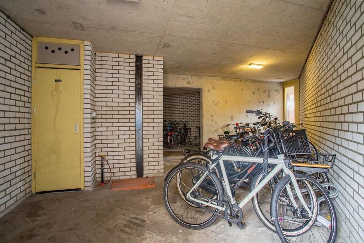 Jungfrau 51 Photo Blur 17