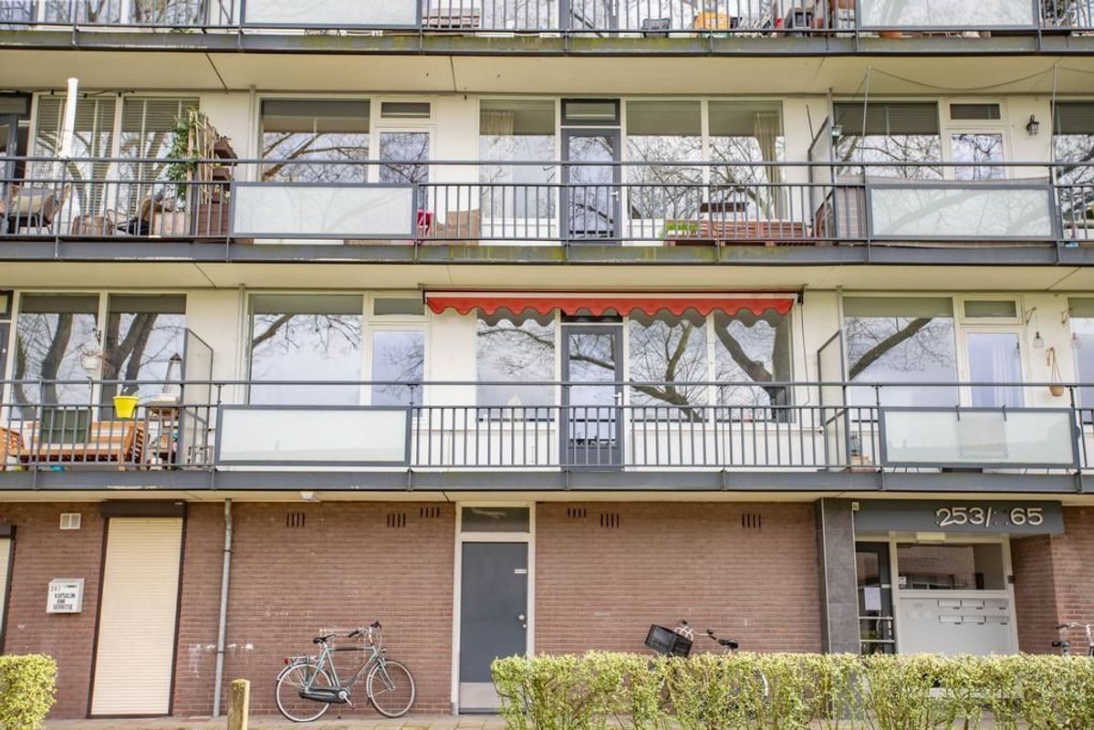 Spreeuwenstraat 257 Photo Blur 26