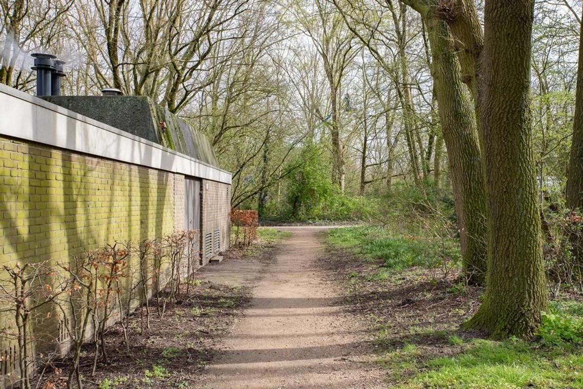 Spreeuwenstraat 257 Photo Blur 28