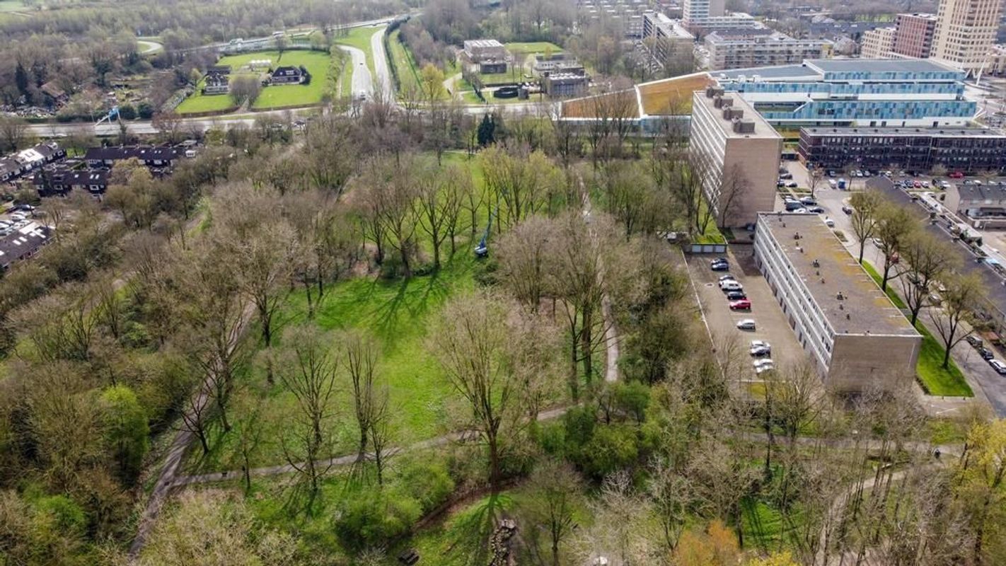 Spreeuwenstraat 257 Photo Blur 34