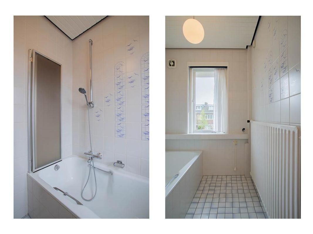 Linnaeuslaan 12 Photo Blur 15