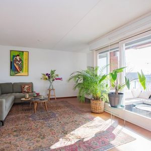 Rolderdiephof 152 Photo 2