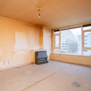 Tolsteegplantsoen 3-3 Photo 4