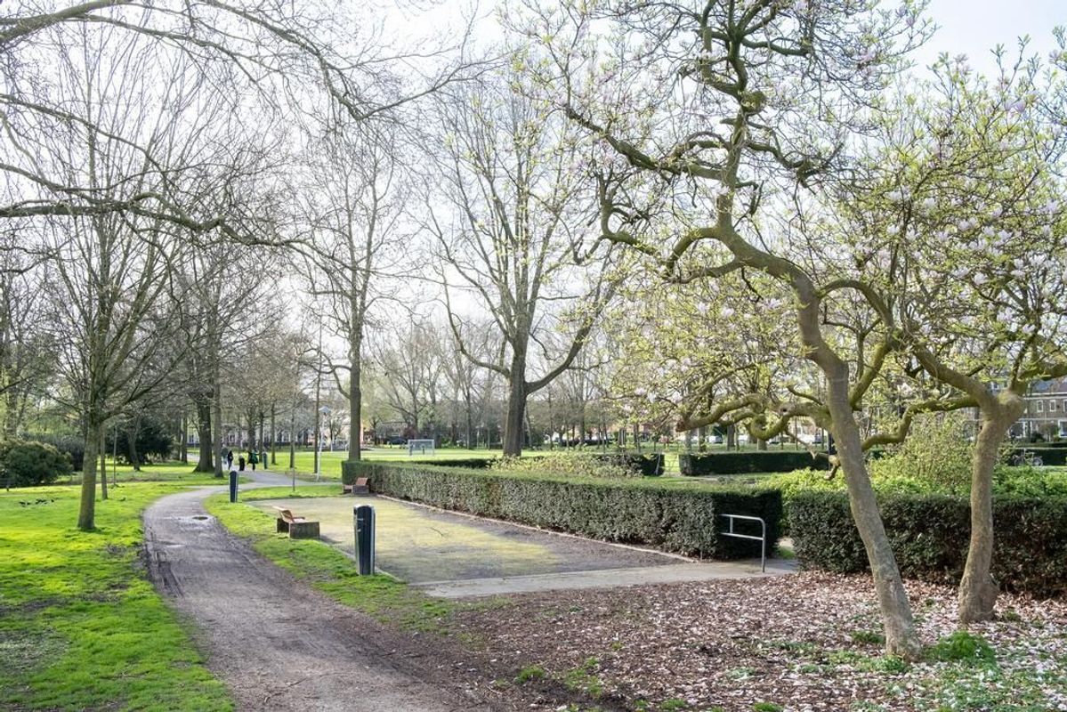 Jaffastraat 22 Photo Blur 22