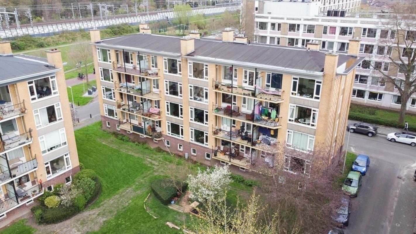 Tolsteegplantsoen 49-3 Photo Blur 0