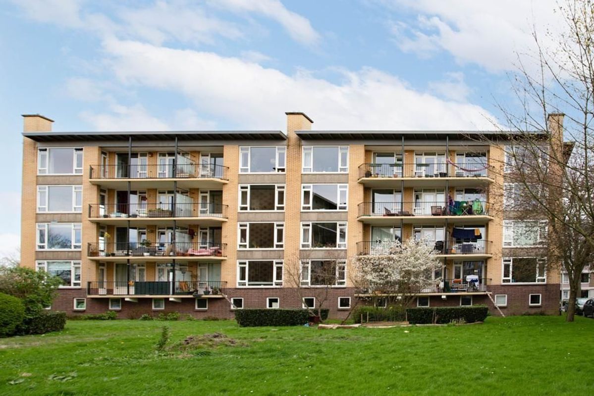 Tolsteegplantsoen 49-3 Photo Blur 27