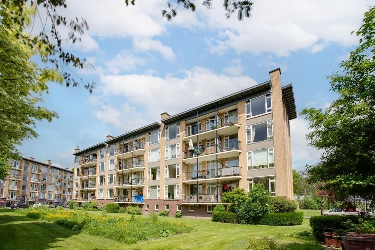 Tolsteegplantsoen 44-2 Photo Blur 0