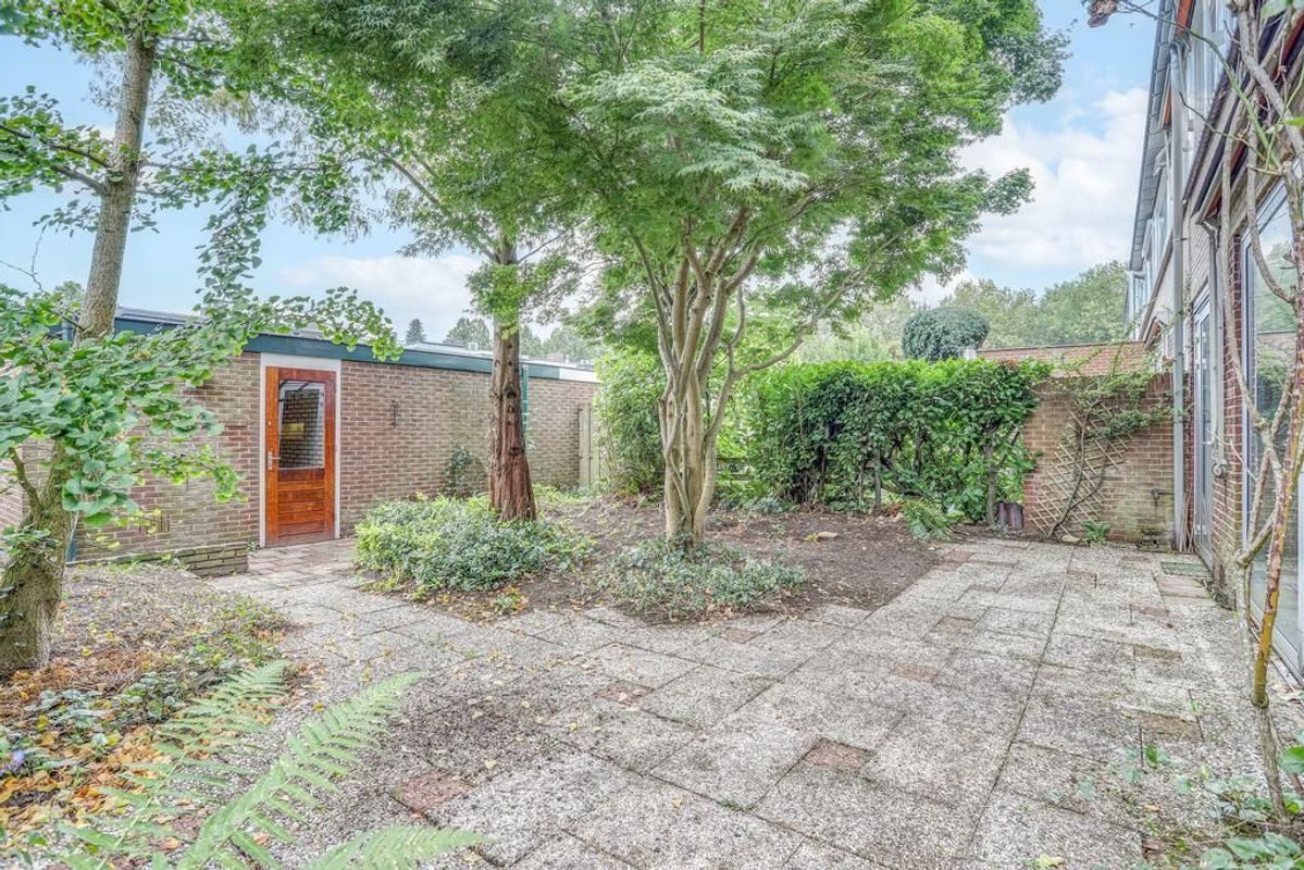 Zonneplein 25 Photo Blur 33