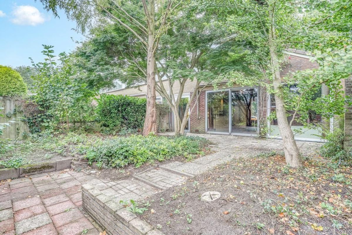 Zonneplein 25 Photo Blur 34