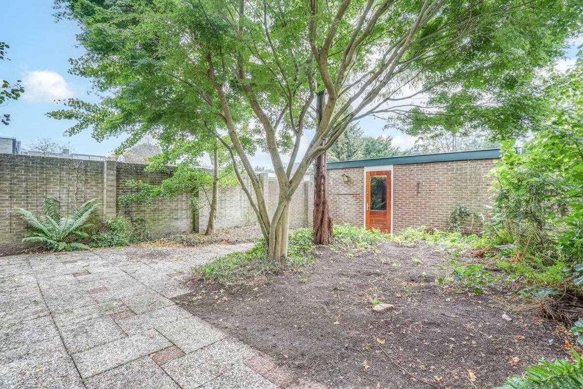 Zonneplein 25 Photo Blur 2