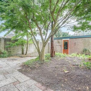 Zonneplein 25 Photo 2