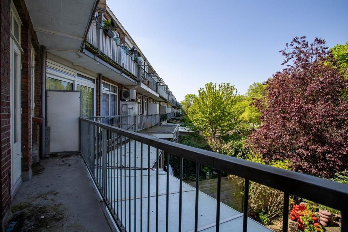 Caan van Necklaan 291 Photo Blur 21