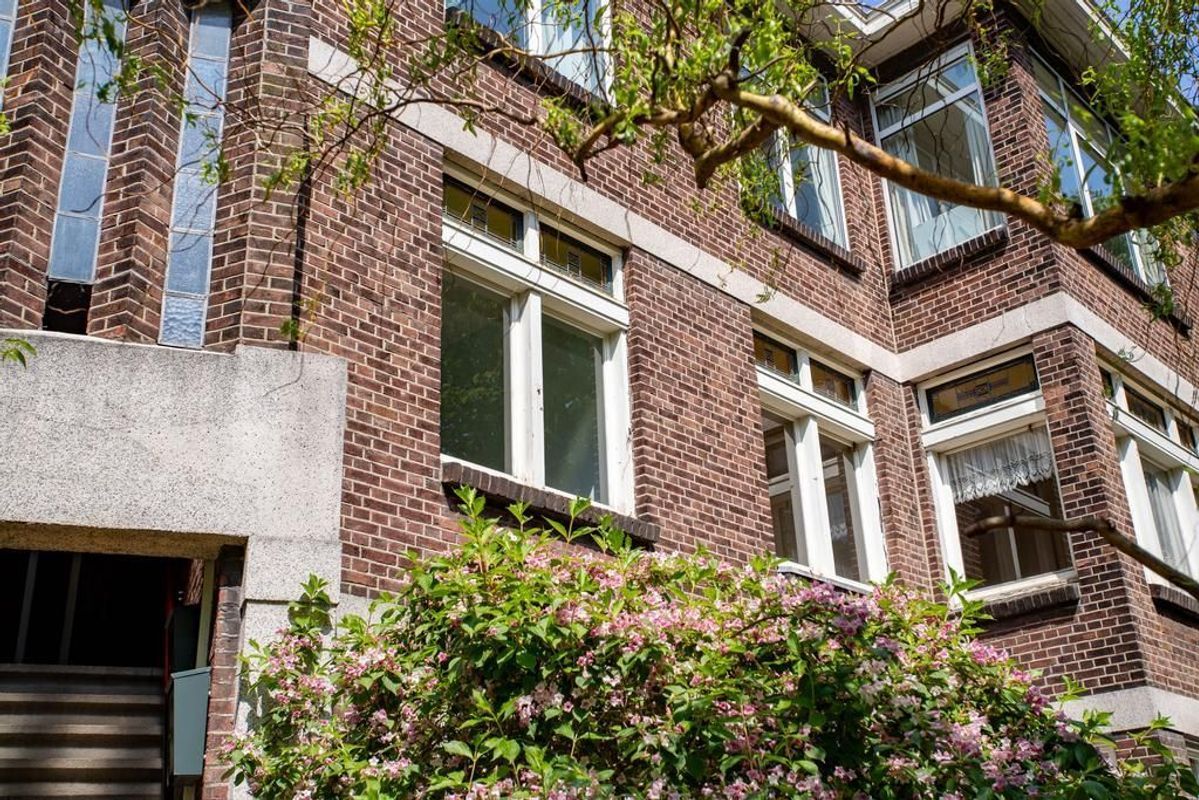 Caan van Necklaan 291 Photo Blur 24