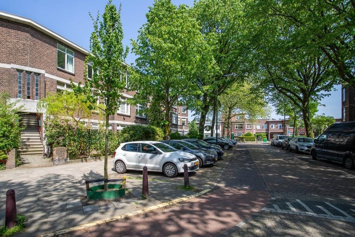 Caan van Necklaan 291 Photo Blur 29