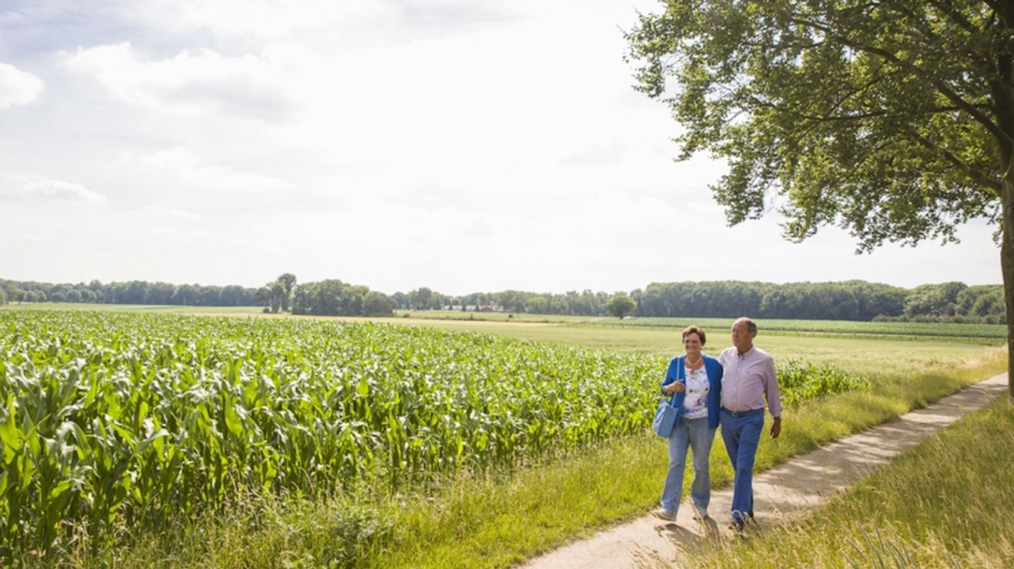 Lommerbergen 435 Photo Blur 10