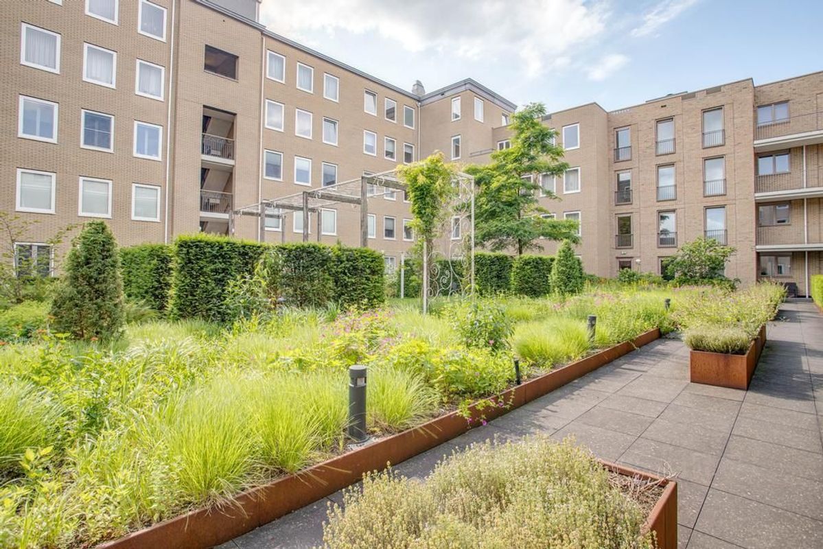 Wenenpromenade 40 Photo Blur 19