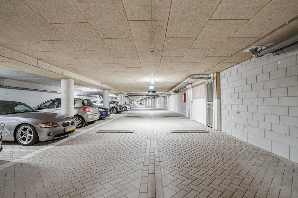 Rolderdiephof 180 Photo Blur 29