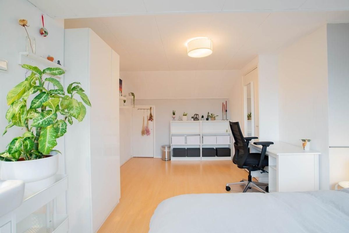 Jakob Grimmstraat 18 Photo Blur 5