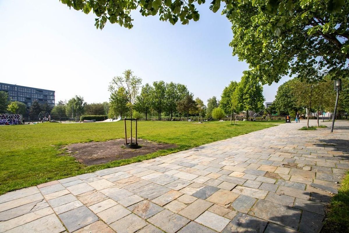 Griftstraat 26 Photo Blur 37