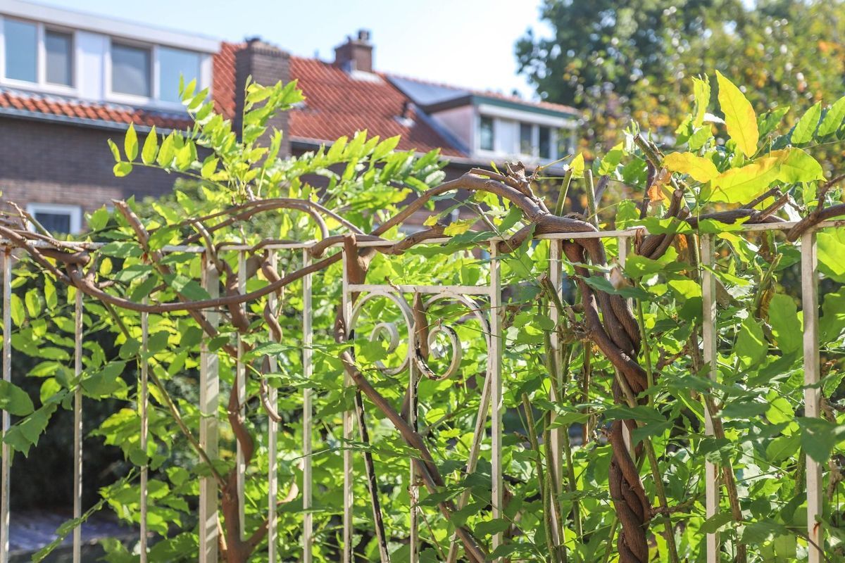 Barkasstraat 2 Photo Blur 27