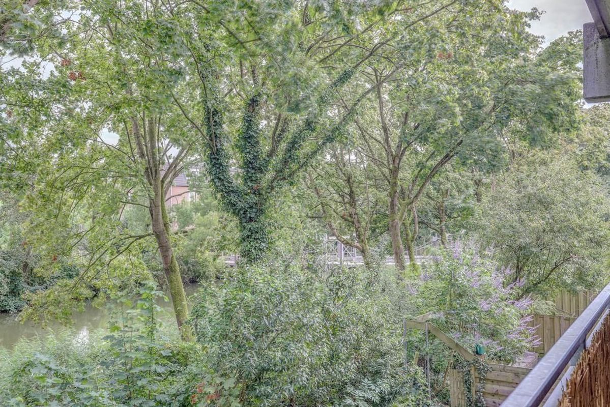 Jungfrau 24 Photo Blur 15