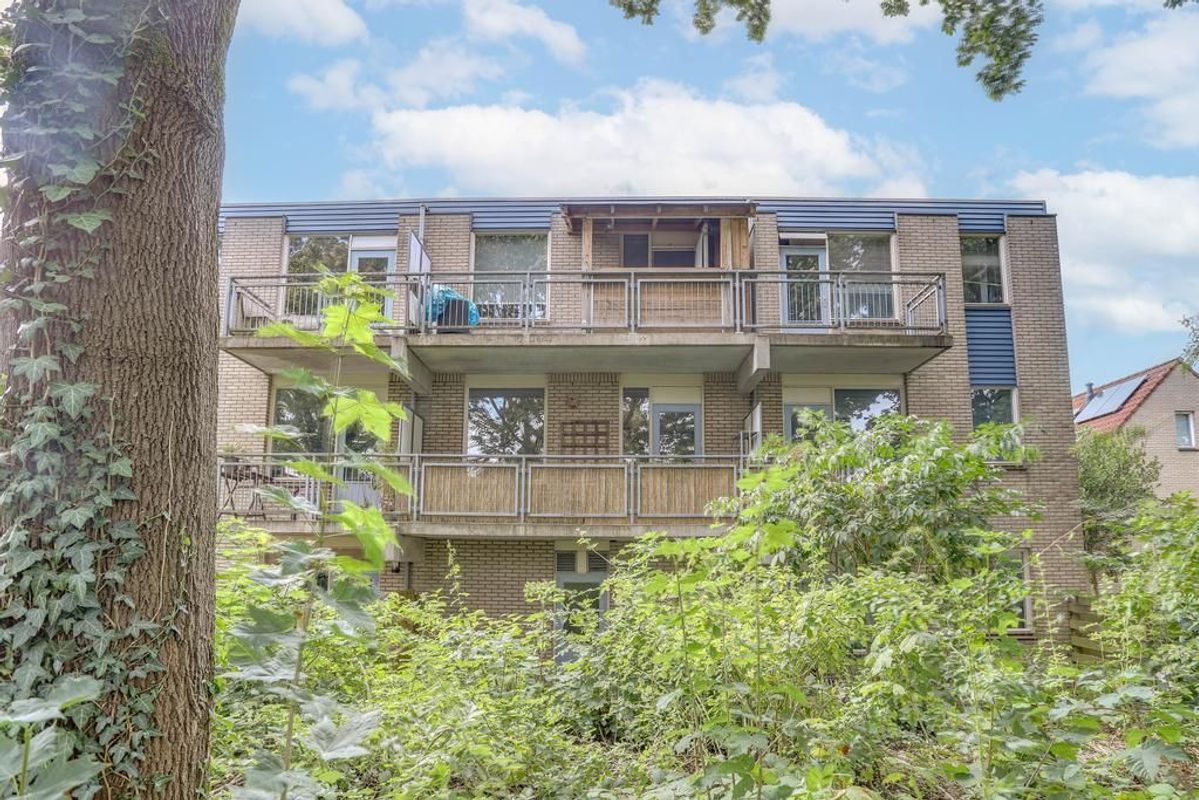 Jungfrau 24 Photo Blur 16