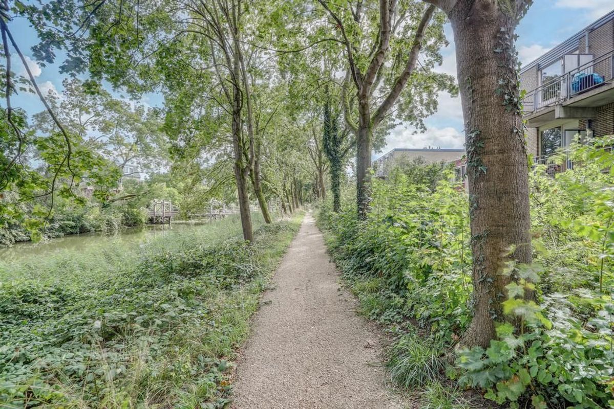 Jungfrau 24 Photo Blur 17