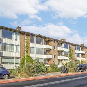 Everard Meysterweg 57-C Photo 4