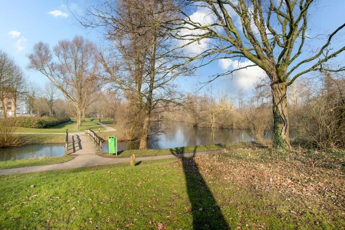 Atalantaberm 21 Photo Blur 35