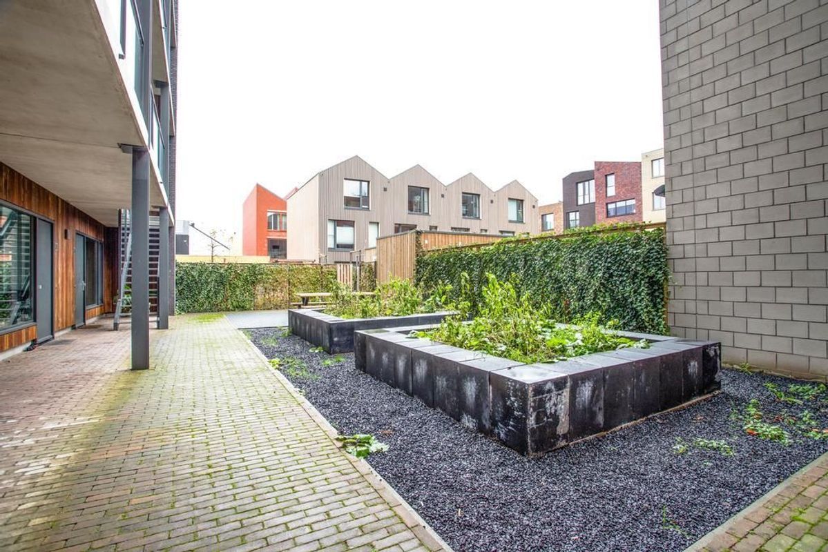 Wisselstraat 82 Photo Blur 21