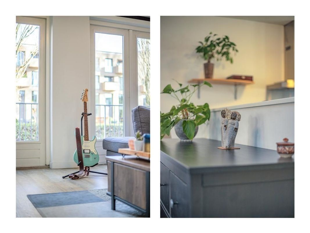 Heivlinder 27 Photo Blur 5