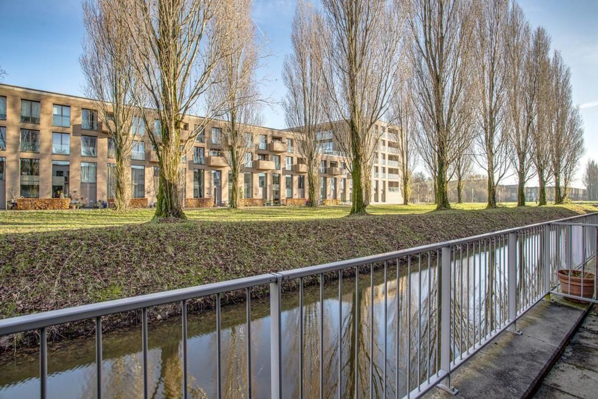 Heivlinder 27 Photo Blur 28