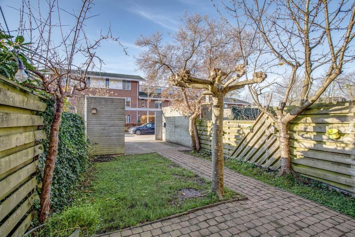 Heivlinder 27 Photo Blur 31