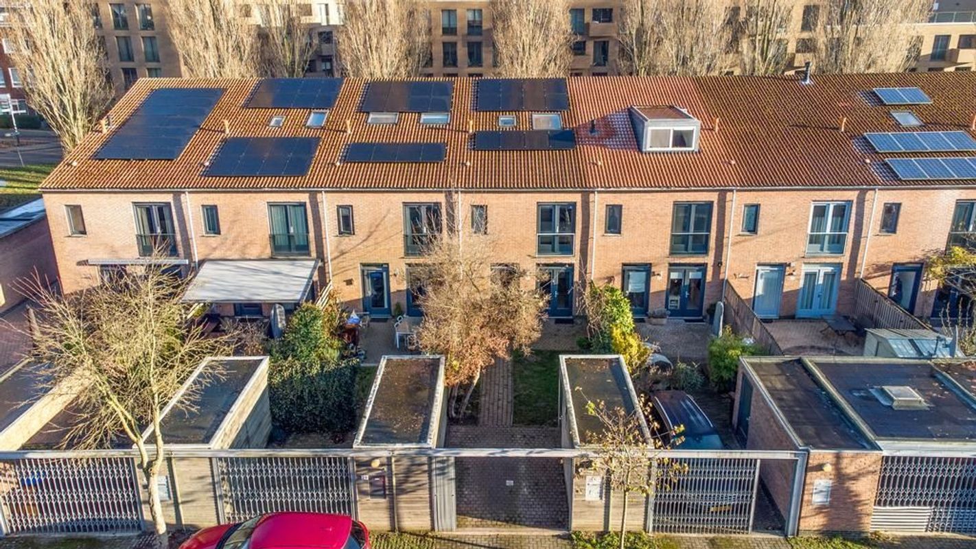 Heivlinder 27 Photo Blur 35