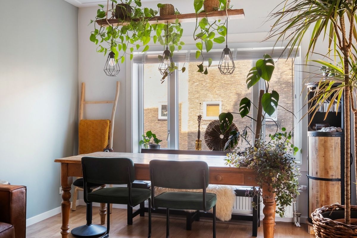 Jan van den Doemstraat 3-A Photo Blur 4