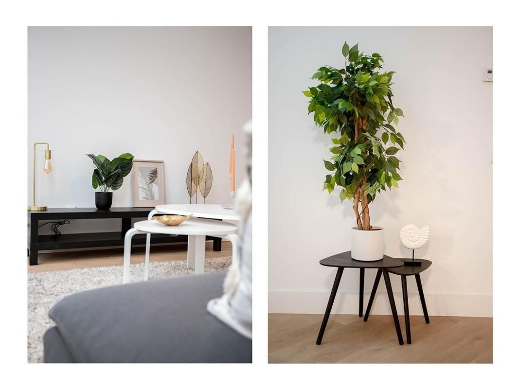 Jutfaseweg 223-17 Photo Blur 4